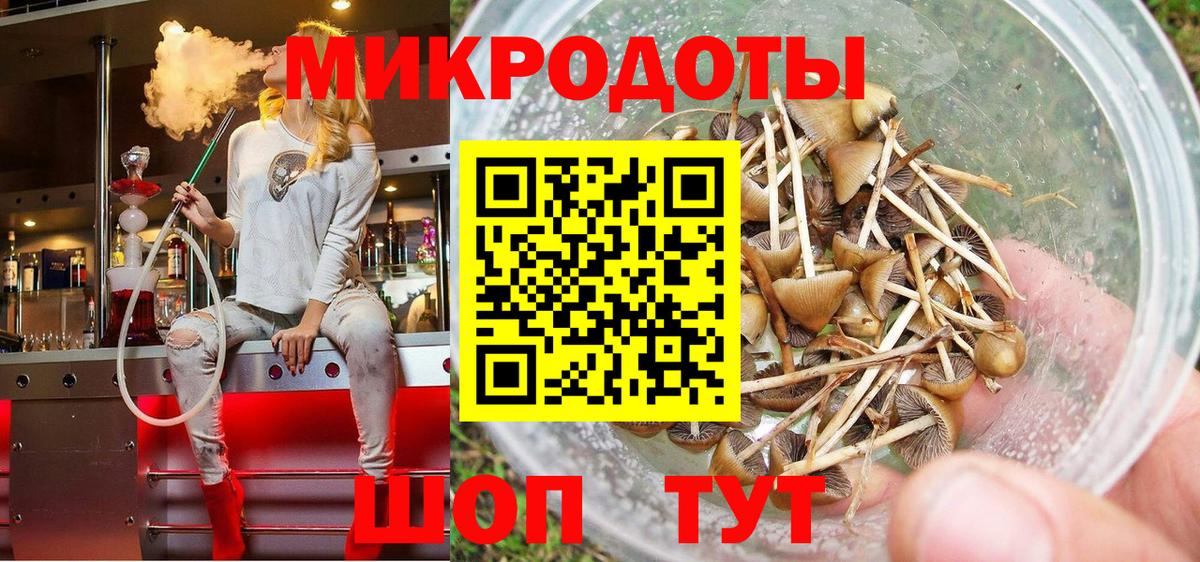 Сызрань  Галлюциногенные грибы MAGIC MUSHROOMS  Галлюциногенные грибы Psilocybe  Вход с VPN 